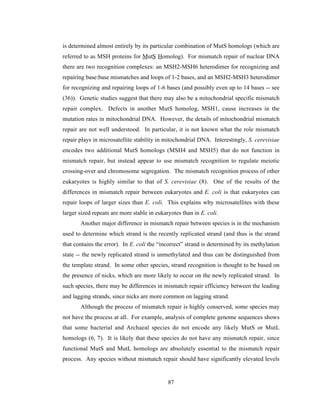 Evolution of DNA repair genes, proteins and processes | PDF