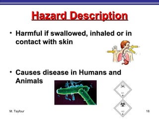 Hazard DescriptionHazard Description
• Harmful if swallowed, inhaled or inHarmful if swallowed, inhaled or in
contact with skincontact with skin
• Causes disease in Humans andCauses disease in Humans and
AnimalsAnimals
M. Tayfour 18
 