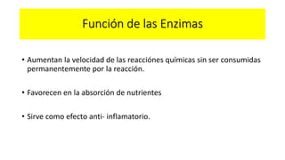 Función de las Enzimas
• Aumentan la velocidad de las reacciónes químicas sin ser consumidas
permanentemente por la reacción.
• Favorecen en la absorción de nutrientes
• Sirve como efecto anti- inflamatorio.
 