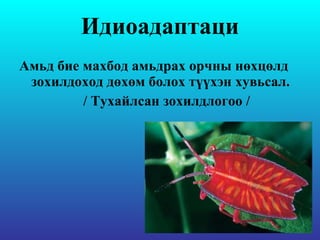 Идиоадаптаци Амьд бие махбод амьдрах орчны нөхцөлд зохилдоход дөхөм болох түүхэн хувьсал. / Тухайлсан зохилдлогоо /  