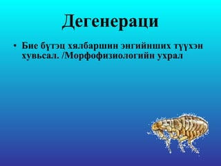 Дегенераци Бие бүтэц хялбаршин энгийнших түүхэн хувьсал .  /Морфофизиологийн ухрал  