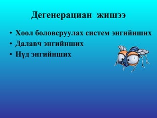 Дегенераци a н  жишээ Хоол боловсруулах систем энгийнших  Далавч энгийнших  Нүд энгийнших  