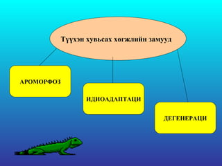 Түүхэн хувьсах хөгжлийн замууд  АРОМОРФОЗ ИДИОАДАПТАЦИ ДЕГЕНЕРАЦИ 