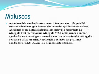 Moluscos
 Anexando dois quadrados com lado=1, teremos um retângulo 2x1,
  sendo o lado maior igual à soma dos lados dos quadrados anteriores.
  Anexamos agora outro quadrado com lado=2 (o maior lado do
  retângulo 2x1) e teremos um retângulo 3x2. Continuamos a anexar
  quadrados com lados iguais ao maior dos comprimentos dos retângulos
  obtidos no passo anterior. A sequência dos lados dos próximos
  quadrados é: 3,5,8,13,... que é a sequência de Fibonacci
 
