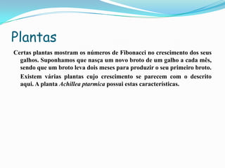 Plantas
Certas plantas mostram os números de Fibonacci no crescimento dos seus
  galhos. Suponhamos que nasça um novo broto de um galho a cada mês,
  sendo que um broto leva dois meses para produzir o seu primeiro broto.
  Existem várias plantas cujo crescimento se parecem com o descrito
  aqui. A planta Achillea ptarmica possui estas características.
 