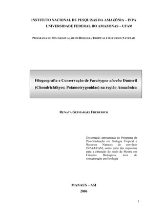 1
INSTITUTO NACIONAL DE PESQUISAS DA AMAZÔNIA – INPA
UNIVERSIDADE FEDERAL DO AMAZONAS – UFAM
PROGRAMA DE PÓS-GRADUAÇÃO EM BIOLOGIA TROPICAL E RECURSOS NATURAIS
RENATA GUIMARÃES FREDERICO
MANAUS – AM
2006
Dissertação apresentada ao Programa de
Pós-Graduação em Biologia Tropical e
Recursos Naturais do convênio
INPA/UFAM, como parte dos requisitos
para a obtenção do título de Mestre em
Ciências Biológicas, área de
concentração em Ecologia
Filogeografia e Conservação de Paratrygon aiereba Dumeril
(Chondrichthyes: Potamotrygonidae) na região Amazônica
 