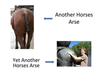 Another Horses Arse Yet Another Horses Arse