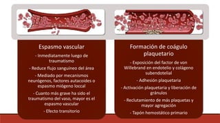 14 hemostasia | PPTX
