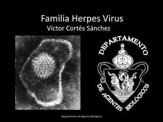 Familia Herpes Virus
 Víctor Cortés Sánchez




     Departamento de Agentes Biológicos
 