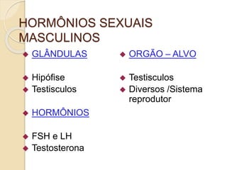 Hormônios Sexuais Masculinos | PPTX
