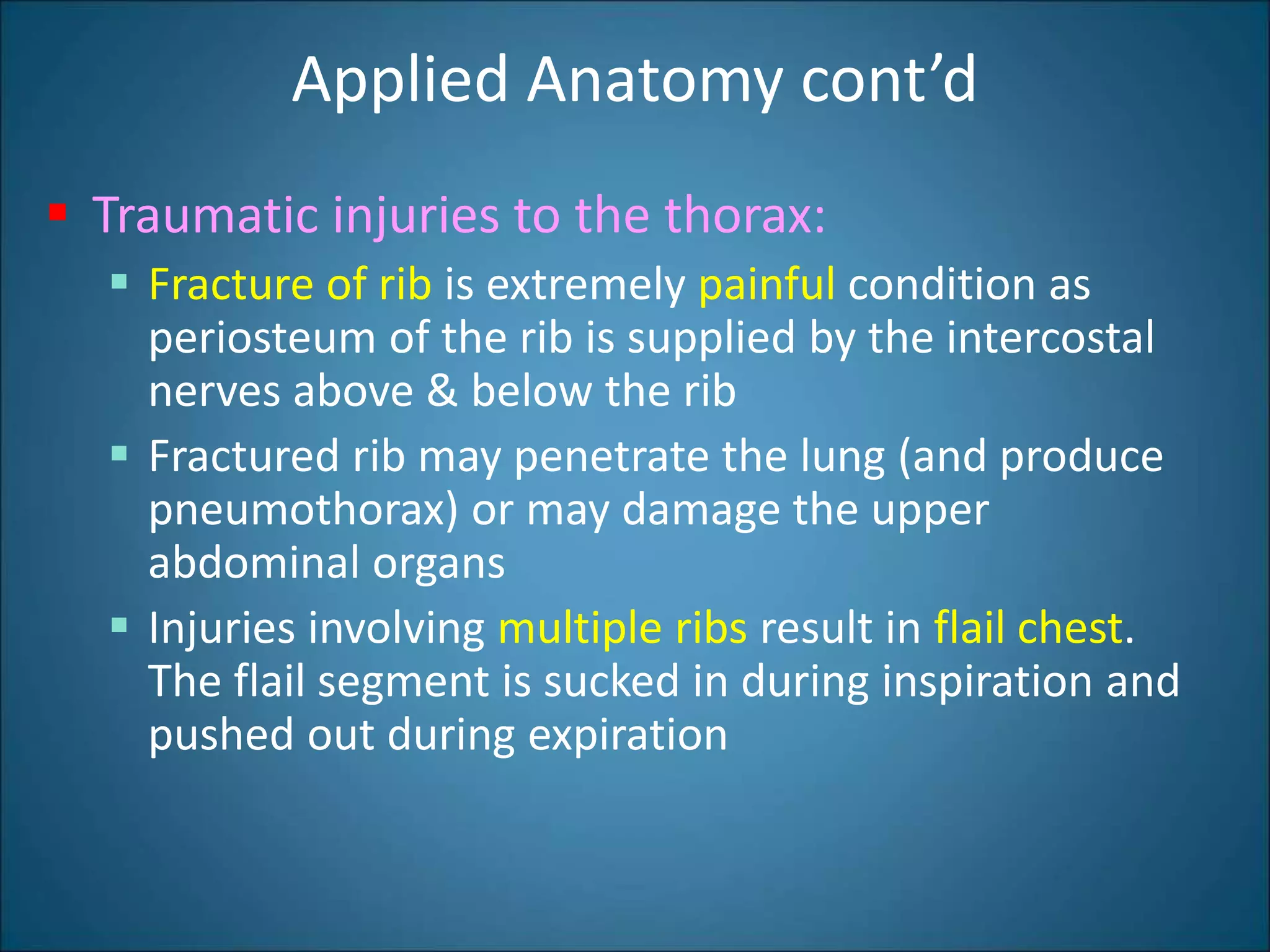 14 - Intercostal Space.ppt