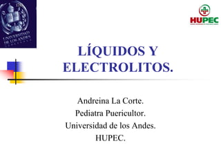LÍQUIDOS Y
ELECTROLITOS.
Andreina La Corte.
Pediatra Puericultor.
Universidad de los Andes.
HUPEC.
 