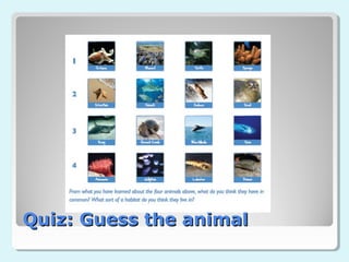 Quiz: Guess the animal
 