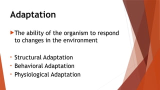 14-Mechanism-in-Evolution ksjdxsklwedow;fc;njlk | PPTX
