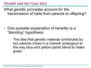 Mendel and the Gene Idea ,[object Object],[object Object],[object Object]