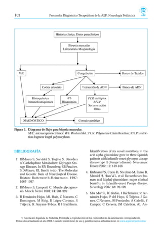 103                              Protocolos Diagnóstico Terapeúticos de la AEP: Neurología Pediátrica




                                       Historia clínica. Datos paraclínicos


                                                 Biopsia muscular
                                              Laboratorio Miopatología




   M/E                                                      Congelación                                Banco de Tejidos



                          Cortes criostato                       Extracción de ADN                      Banco de ADN


               Histoquímica                     Wb                    PCR multiplex
            Inmunohistoquímica               Bioquímica                  RFLP
                                                                      Secuenciación
                                                                          Otras


       DIAGNÓSTICO                                           Consejo genético

Figura 3. Diagrama de flujo para biopsia muscular.
          M/E: microscopía electrónica: Wb: Western blot ; PCR: Polymerase Chain Reaction; RFLP: restric-
          tion fragment length polymorphism.



BIBLIOGRAFÍA                                                            Identification of six novel mutations in the
                                                                        acid alpha-glucosidase gene in three Spanish
 1. DiMauro S, Servidei S, Tsujino S. Disorders                         paitents with infantile onset glycogen storage
    of Carbohydrate Metabolism: Glycogen Sto-                           disease type II (Pompe´s disease). Neuromusc
    rage Diseases. In RN Rosenberg, SB Prusiner,                        Disord 2002; 12: 159-166
    S DiMauro, RL Barchi (eds). The Molecular
                                                                    4. Kishnani PS, Corzo D, Nicolino M, Byrne B,
    and Genetic Basis of Neurological Disease.
                                                                       Mandel H, Hwu WL, et al. Recombinant hu-
    Boston: Butterworth-Heinemann, 1997:
                                                                       man acid [alpha]-glucosidase: major clinical
    1067-1097
                                                                       benefits in infantile-onset Pompe disease.
 2. DiMauro S, Lamperti C. Muscle glycogeno-                           Neurology 2007; 68: 99-109
    ses. Muscle Nerve 2001; 24: 984-999
                                                                    5. MA Martín, JC Rubio, J Buchbinder, R Fer-
 3. R Fernández-Hojas, ML Huie, C Navarro, C                           nández-Hojas, P del Hoyo, S Teijeira, J Gá-
    Domínguez, M Roig, D López-Coronas, S                              mez, C Navarro, JM Fernández, A Cabello, Y
    Teijeira, K Anyane-Yeboa, R Hirschhorn.                            Campos, C Cervera, JM Culebras, AL An-



      © Asociación Española de Pediatría. Prohibida la reproducción de los contenidos sin la autorización correspondiente.
 Protocolos actualizados al año 2008. Consulte condiciones de uso y posibles nuevas actualizaciones en www.aeped.es/protocolos/
 
