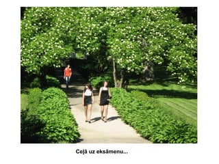 Ceļā uz eksāmenu...

 