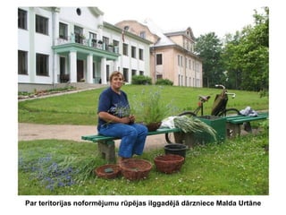 Par teritorijas noformējumu rūpējas ilggadējā dārzniece Malda Urtāne

 