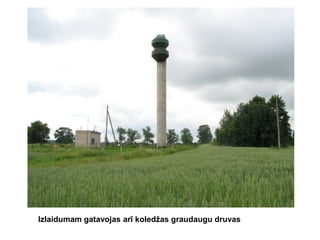 Izlaidumam gatavojas arī koledžas graudaugu druvas

 