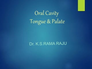 Oral Cavity
Tongue & Palate
 