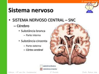 O sistema nervoso




Sistema nervoso
• SISTEMA NERVOSO CENTRAL – SNC
      – Cérebro
            • Substância branca
                  – Parte interna

            • Substância cinzenta
                  – Parte externa
                  – Córtex cerebral




Ciências – 8º ano Ens. Fundamental    3º Período   Profa. Rebeca Vale
 