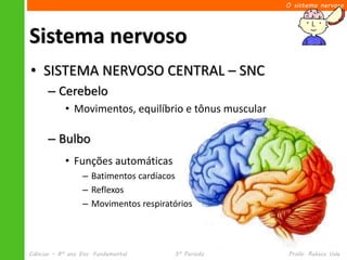 O sistema nervoso




Sistema nervoso
• SISTEMA NERVOSO CENTRAL – SNC
      – Cerebelo
            • Movimentos, equilíbrio e tônus muscular

      – Bulbo
            • Funções automáticas
                  – Batimentos cardíacos
                  – Reflexos
                  – Movimentos respiratórios




Ciências – 8º ano Ens. Fundamental     3º Período       Profa. Rebeca Vale
 