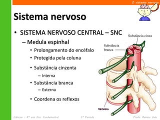 O sistema nervoso




Sistema nervoso
• SISTEMA NERVOSO CENTRAL – SNC                                Substância cinza
      – Medula espinhal                           Substância
            • Prolongamento do encéfalo           branca

            • Protegida pela coluna
            • Substância cinzenta
                  – Interna
            • Substância branca
                  – Externa

            • Coordena os reflexos


Ciências – 8º ano Ens. Fundamental   3º Período                   Profa. Rebeca Vale
 