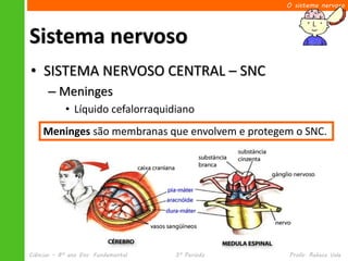 O sistema nervoso




Sistema nervoso
• SISTEMA NERVOSO CENTRAL – SNC
      – Meninges
            • Líquido cefalorraquidiano
    Meninges são membranas que envolvem e protegem o SNC.




Ciências – 8º ano Ens. Fundamental   3º Período   Profa. Rebeca Vale
 