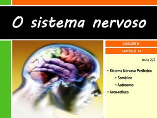 O sistema nervoso
                      UNIDADE III

                     CAPÍTULO 14

                                    Aula 2/2

             Sistema Nervoso Periférico
                  Somático
                  Autônomo
             Arco-reflexo
 