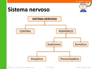 O sistema nervoso




Sistema nervoso
                                SISTEMA NERVOSO



               CENTRAL                                 PERIFÉRICO



                                           Autônomo                 Somático



                              Simpático                 Parassimpático

Ciências – 8º ano Ens. Fundamental        3º Período                 Profa. Rebeca Vale
 