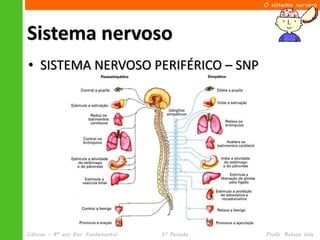 O sistema nervoso




Sistema nervoso
• SISTEMA NERVOSO PERIFÉRICO – SNP




Ciências – 8º ano Ens. Fundamental   3º Período   Profa. Rebeca Vale
 