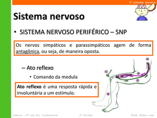 O sistema nervoso




Sistema nervoso
• SISTEMA NERVOSO PERIFÉRICO – SNP
      – SNP Somático
  Os nervos simpáticos e parassimpáticos agem de forma
        • Ações seja, de maneira oposta.
  antagônica, ou voluntárias
        • Musculatura esquelética


      – Ato reflexo
            • Comando da medula
   Ato reflexo é uma resposta rápida e
   involuntária a um estímulo.



Ciências – 8º ano Ens. Fundamental   3º Período   Profa. Rebeca Vale
 