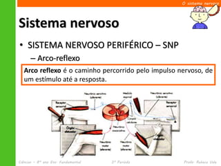 O sistema nervoso




Sistema nervoso
• SISTEMA NERVOSO PERIFÉRICO – SNP
      – Arco-reflexo
         • Envolve caminho motor, sensitivo e de associação
   Arco reflexo é oneurônios percorrido pelo impulso nervoso, de
   um estímulo até a resposta.


      – ático
            • Ações voluntárias
            • Musculatura esquelética




Ciências – 8º ano Ens. Fundamental      3º Período    Profa. Rebeca Vale
 