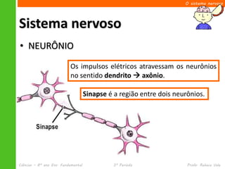 O sistema nervoso




Sistema nervoso
• NEURÔNIO
                           Os impulsos elétricos atravessam os neurônios
                           no sentido dendrito  axônio.

                                     Sinapse é a região entre dois neurônios.




Ciências – 8º ano Ens. Fundamental            3º Período               Profa. Rebeca Vale
 