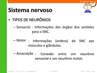 O sistema nervoso




Sistema nervoso
• TIPOS DE NEURÔNIOS
      – Sensorial - Informações dos órgãos dos sentidos
                  para o SNC.

      – Motor - Informações (ordens) do SNC aos
              músculos e glândulas.

      – Associação - Conexão entre um neurônio
                   sensorial e um neurônio motor.


Ciências – 8º ano Ens. Fundamental   3º Período   Profa. Rebeca Vale
 