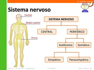O sistema nervoso




Sistema nervoso
                                         SISTEMA NERVOSO



                                     CENTRAL               PERIFÉRICO



                                                     Autônomo    Somático



                                         Simpático         Parassimpático

Ciências – 8º ano Ens. Fundamental      3º Período               Profa. Rebeca Vale
 