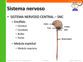 O sistema nervoso




Sistema nervoso
• SISTEMA NERVOSO CENTRAL – SNC
      – Encéfalo
            •   Cérebro
            •   Cerebelo
            •   Bulbo
            •   Ponte

      – Medula espinhal
            • Medula raquiana



Ciências – 8º ano Ens. Fundamental   3º Período   Profa. Rebeca Vale
 