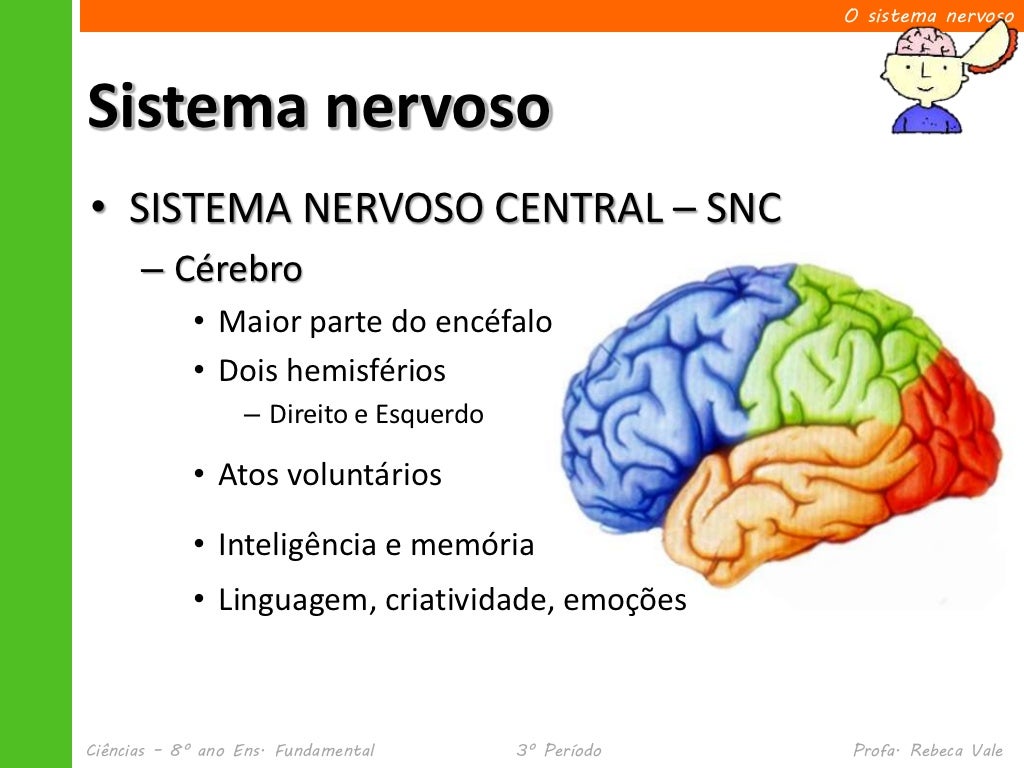 Slide Sobre O Sistema Nervoso - RETOEDU