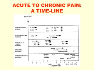 ACUTE TO CHRONIC PAIN: A TIME-LINE 