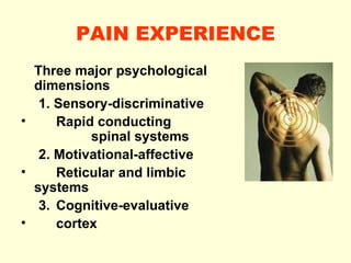PAIN EXPERIENCE <ul><li>Three major psychological dimensions </li></ul><ul><ul><li>1 .  Sensory-discriminative </li></ul><...