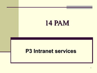 1
14 PAM14 PAM
P3 Intranet servicesP3 Intranet services
 