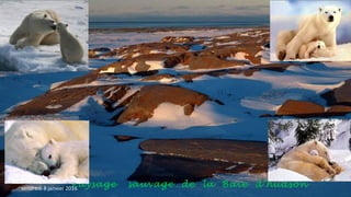 Paysage sauvage de la Baie d’hudsonvendredi 8 janvier 2016
 