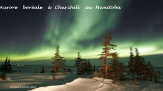 Aurore boréale à Churchill au Manitoba
vendredi 8 janvier 2016
 