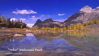 “Yoho” National Park
vendredi 8 janvier 2016
 