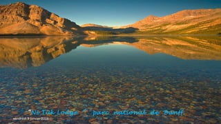 “Ni Tuk Lodge ” parc national de Banff.
vendredi 8 janvier 2016
 