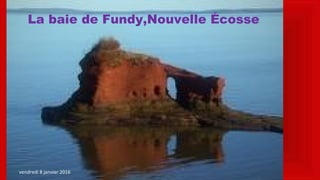 la fin
La baie de Fundy,Nouvelle Écosse
vendredi 8 janvier 2016
 