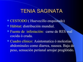 TENIA SAGINATA CESTODO  ( Huevecillo enquistado) Hábitat : distribución mundial. Fuente de  infestación:   carne de RES mal cocida ó cruda. Cuadro clínico:  Asintomatica ó molestias abdominales como diarrea, nausea. Baja de peso, sensación perianal arrojar proglótido. 