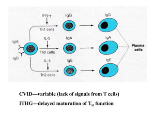 CVID—variable ( lack of signals from T cells ) ITHG—delayed maturation of T H  function 