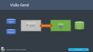 FACOM | UFMS
Laboratório de Banco de Dados
Programas
Input
Output
SGBD
PSYCOPYG
Arquivos de
banco de
dados
Visão Geral
12
 