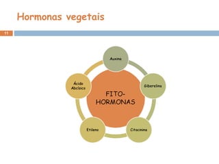 Hormonas vegetais
11
 